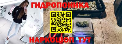 твердый Нальчик